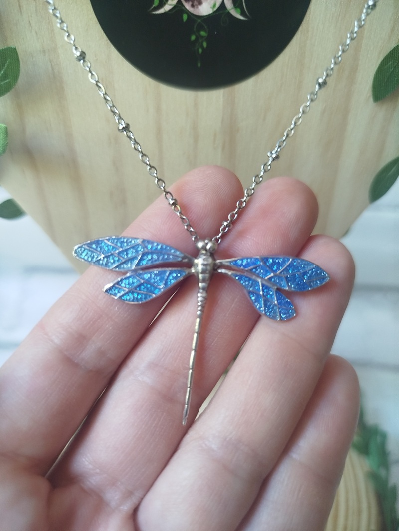 Libélula Celeste - Imagen 2